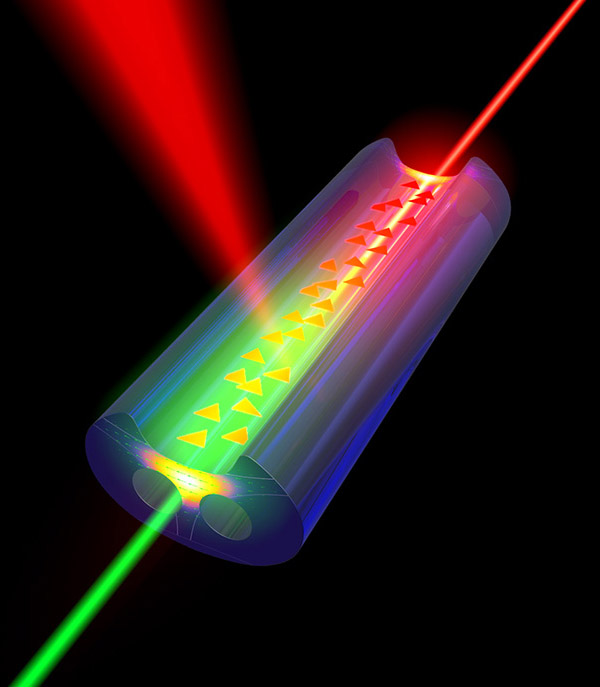 Visualization of nanomaterials on an optical fiber.